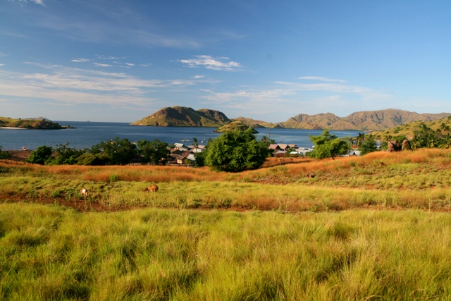 Bukit di belakang Kampung Komodo dengan pemandangan yang eksotis ke arah laut lepas